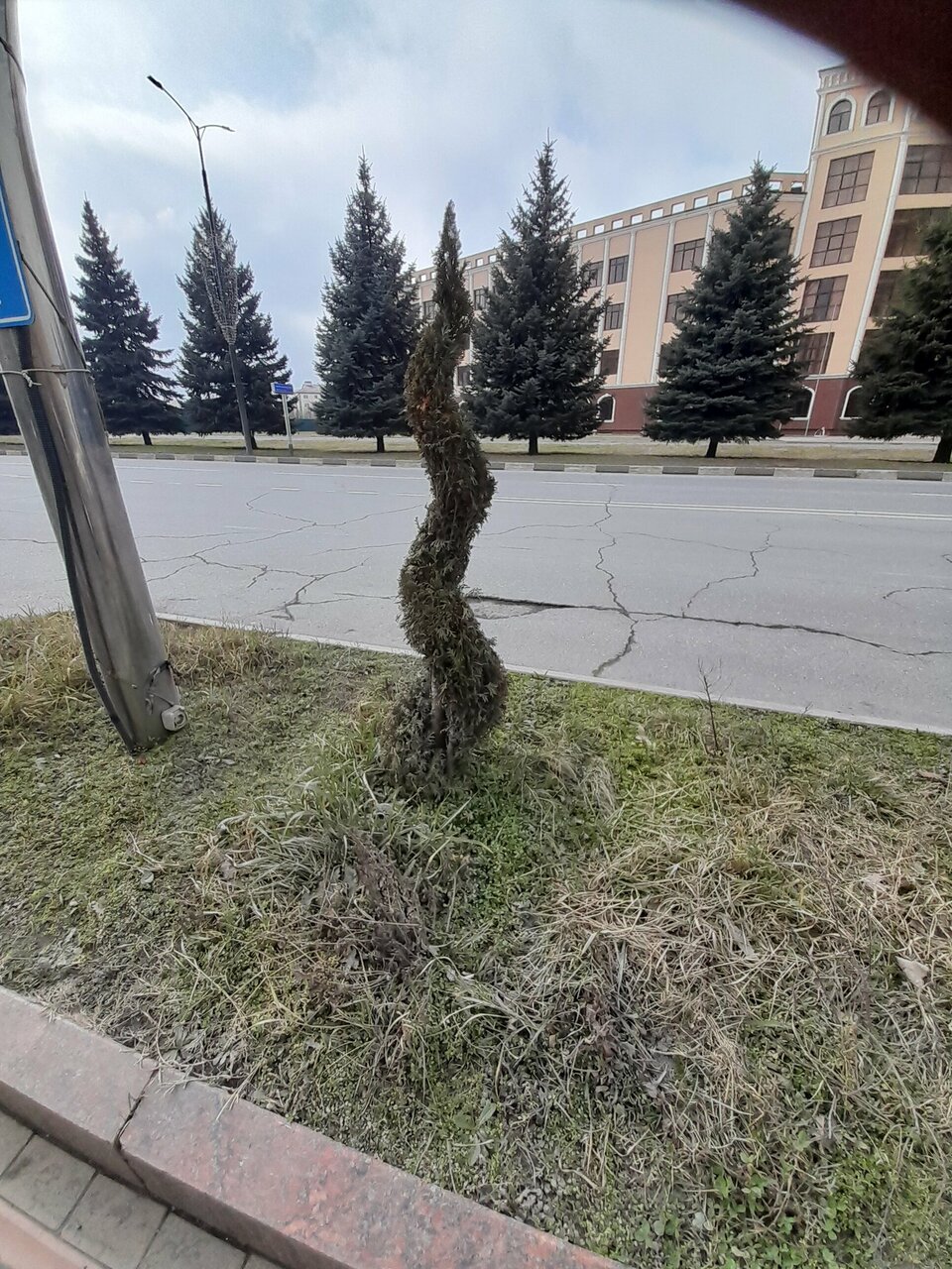 Гостиница Артис Плаза Магас-236