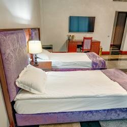 Гостиница Артис Плаза Магас-113