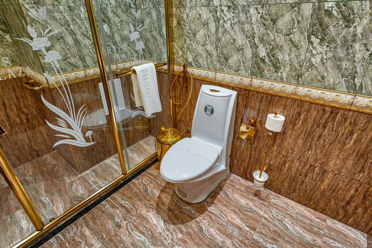 Гостиница Артис Плаза Магас