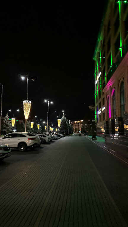 Гостиница Артис Плаза Магас-221