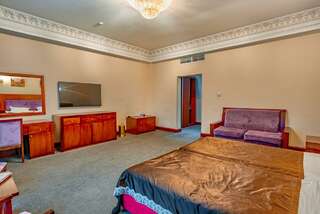 Гостиница Артис Плаза Магас Номер стандарт с 1 двуспальной кроватью-4