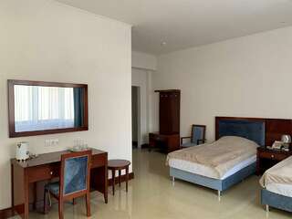 Гостиница Артис Плаза Магас Двухместный номер эконом-класса с 2 отдельными кроватями-1