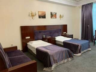 Гостиница Артис Плаза Магас Стандартный двухместный номер с 1 кроватью или 2 отдельными кроватями-4