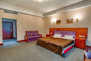 Гостиница Артис Плаза Магас Номер стандарт с 1 двуспальной кроватью-3