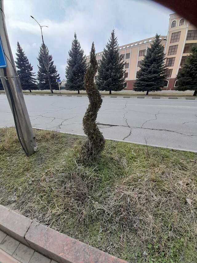 Гостиница Артис Плаза Магас-235