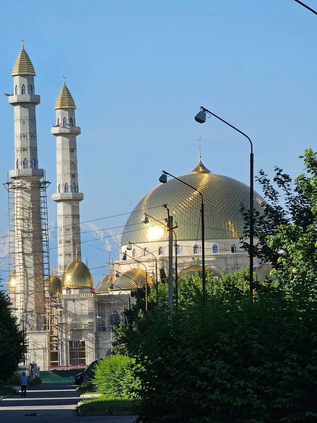 Гостиница Артис Плаза Магас-187