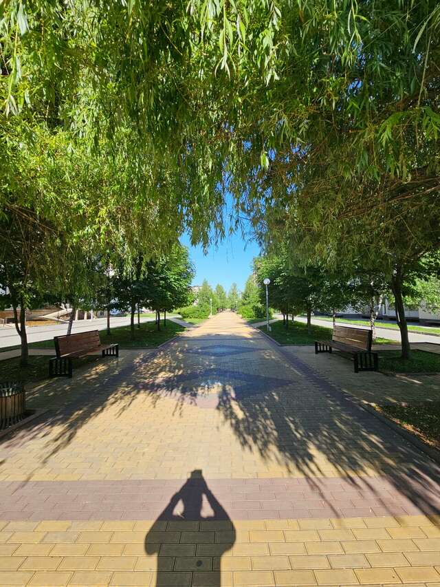 Гостиница Артис Плаза Магас-208