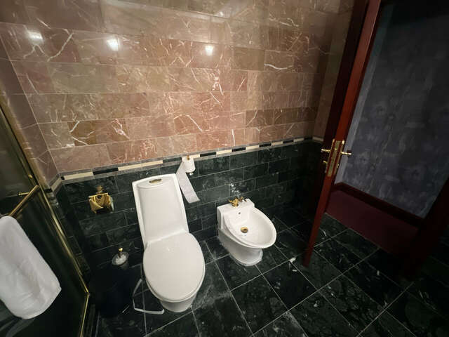 Гостиница Артис Плаза Магас-241