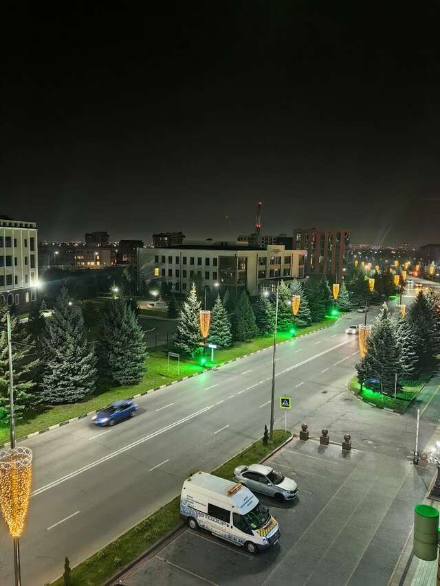 Гостиница Артис Плаза Магас-244